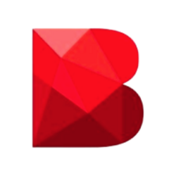 BOOM logo