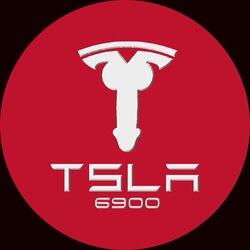 TSLA6900 logo