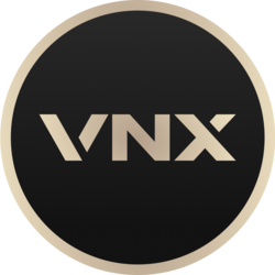 VNX logo