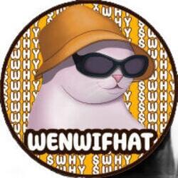 WenWifHat logo