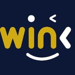 WINkLink BSC logo