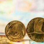 NZD/USD Fundamental Analysis December 24, 2013 Forecast