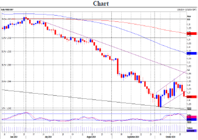 EUR/USD Daily Forecast – 24 October 2014