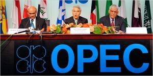 OPEC Shocked By Drop In Prices