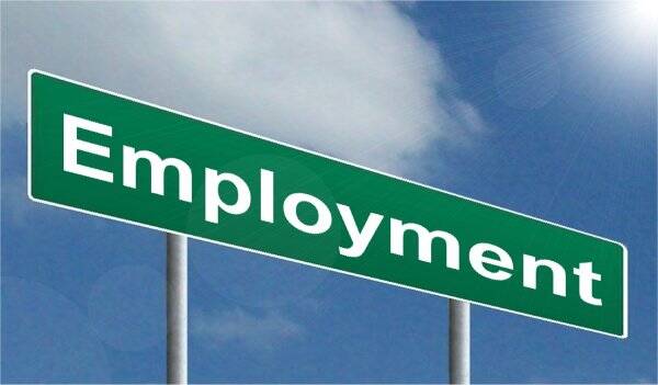 employment