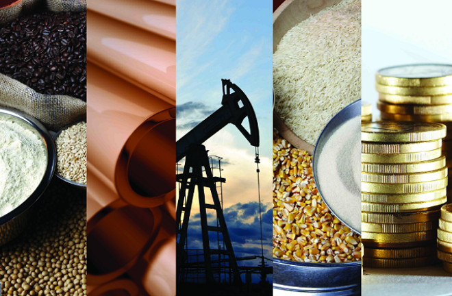 Commodities Daily Forecast