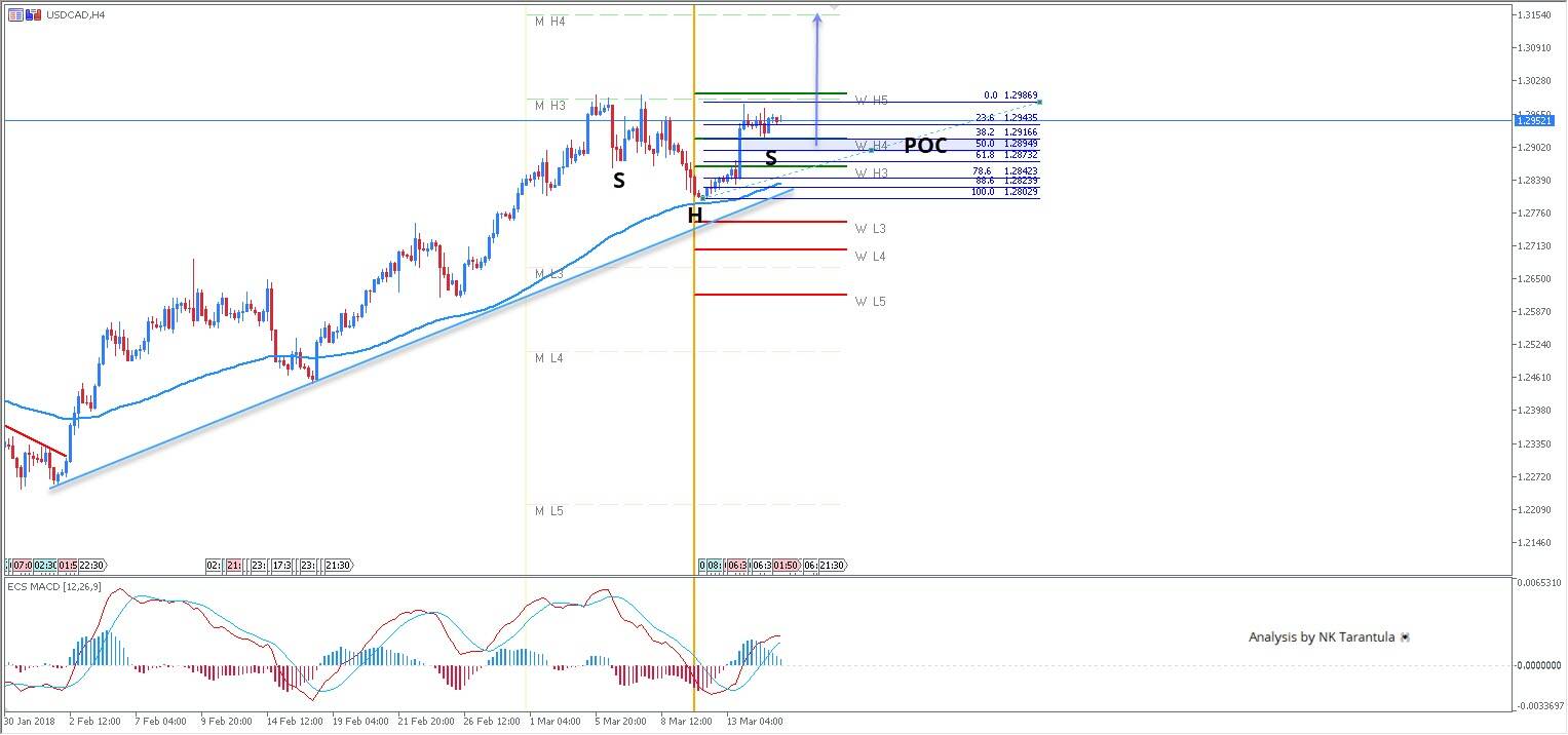 USD/CAD Bullish SHS Pattern for a bounce towards 1.3000 and above