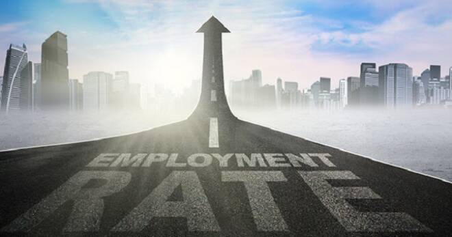 Employment Rate Path