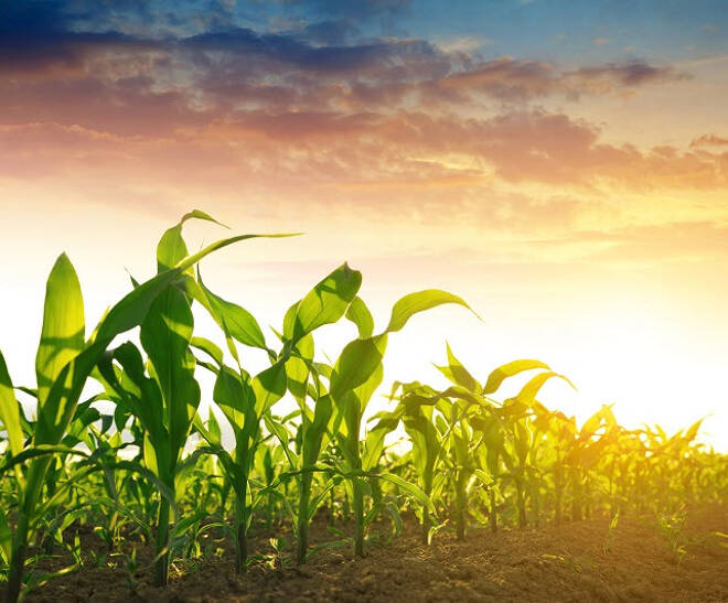 Corn and Wheat Break out Soybeans Lag