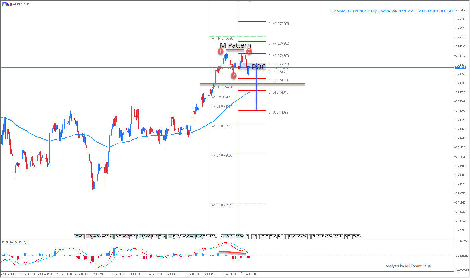 AUD/USD Reverse Bearish Divergence and M Pattern for a Counter Trend Setup