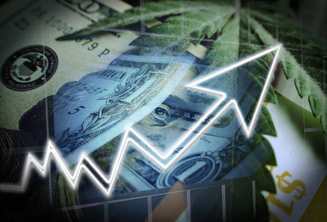 Cannabis Stocks Exploding With Marijuana Leaf On Hundred