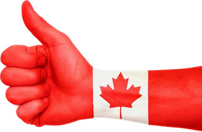 Canada Flag on Hand