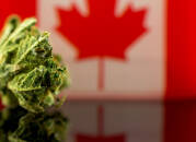 Medical Canada Cannabis Stocks