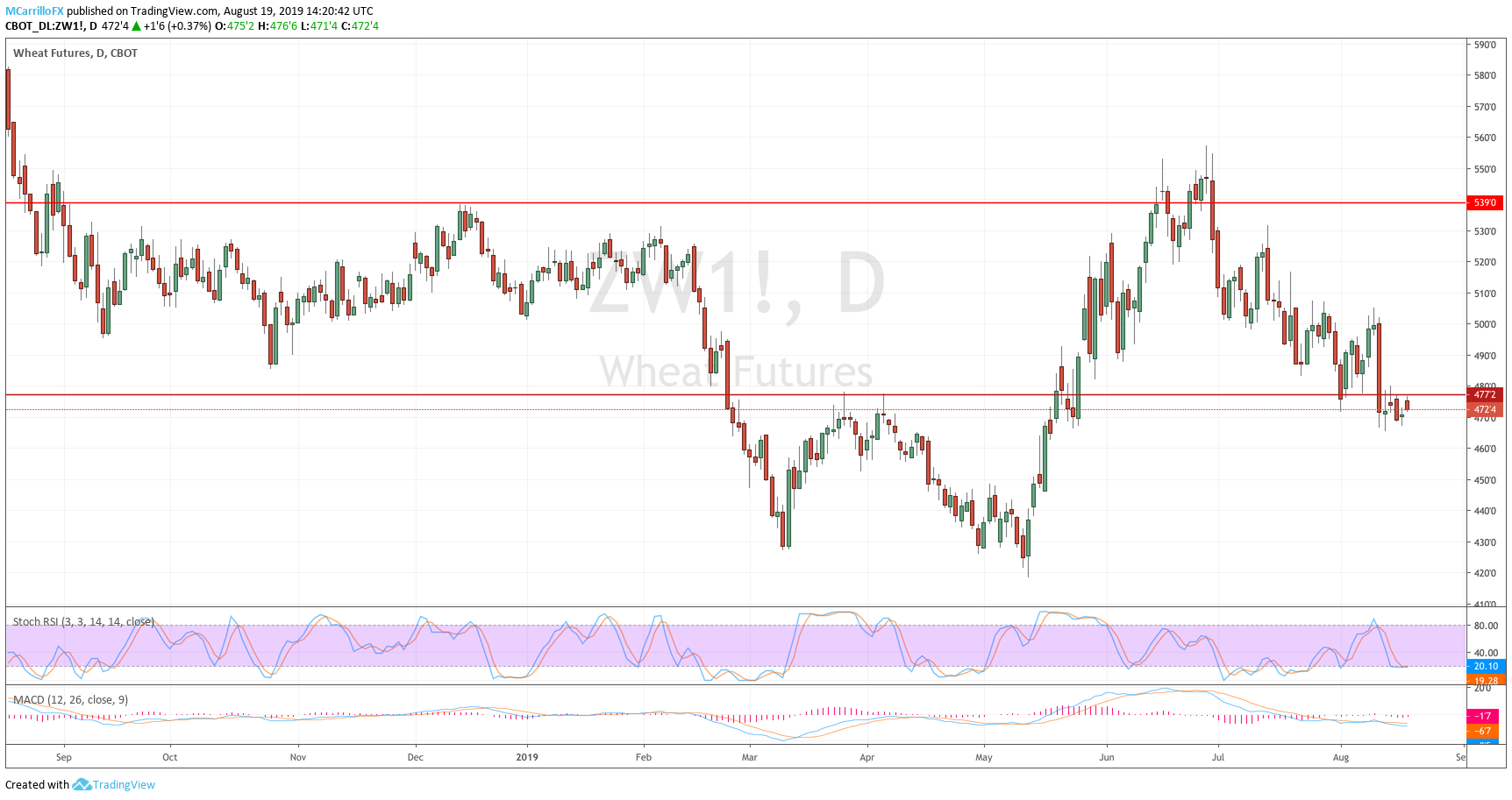 August 19 Wheat daily chart