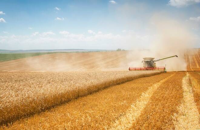 Soybeans, Corn, Recovers Ground on Improved Crop Rate and Trade War