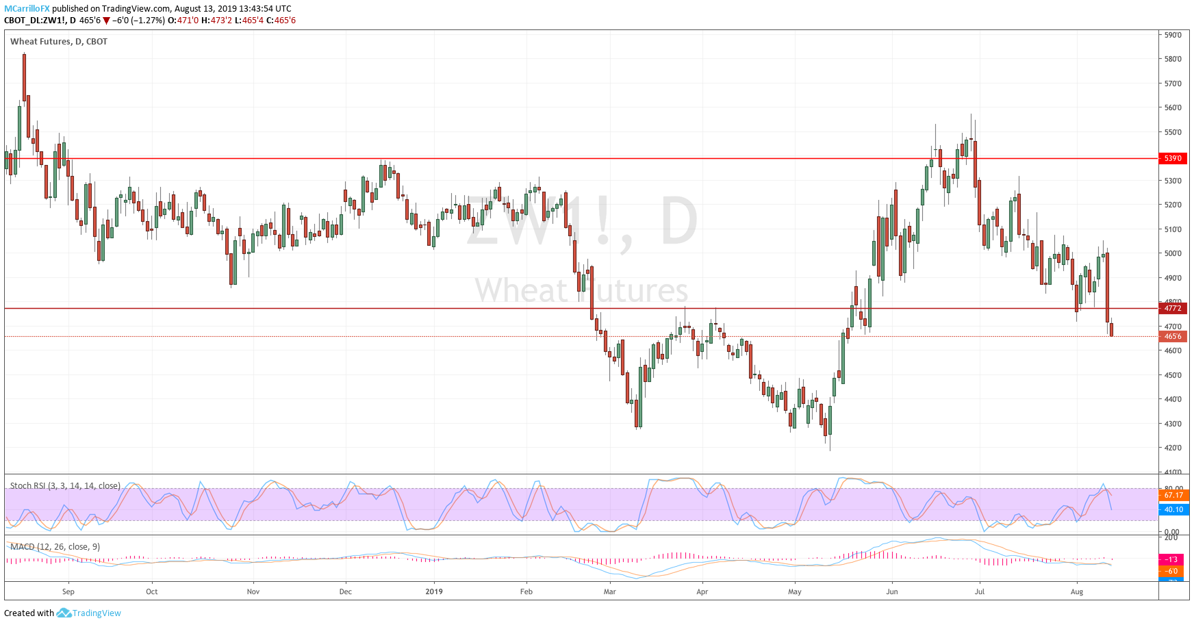 Price of wheat daily chart August 13