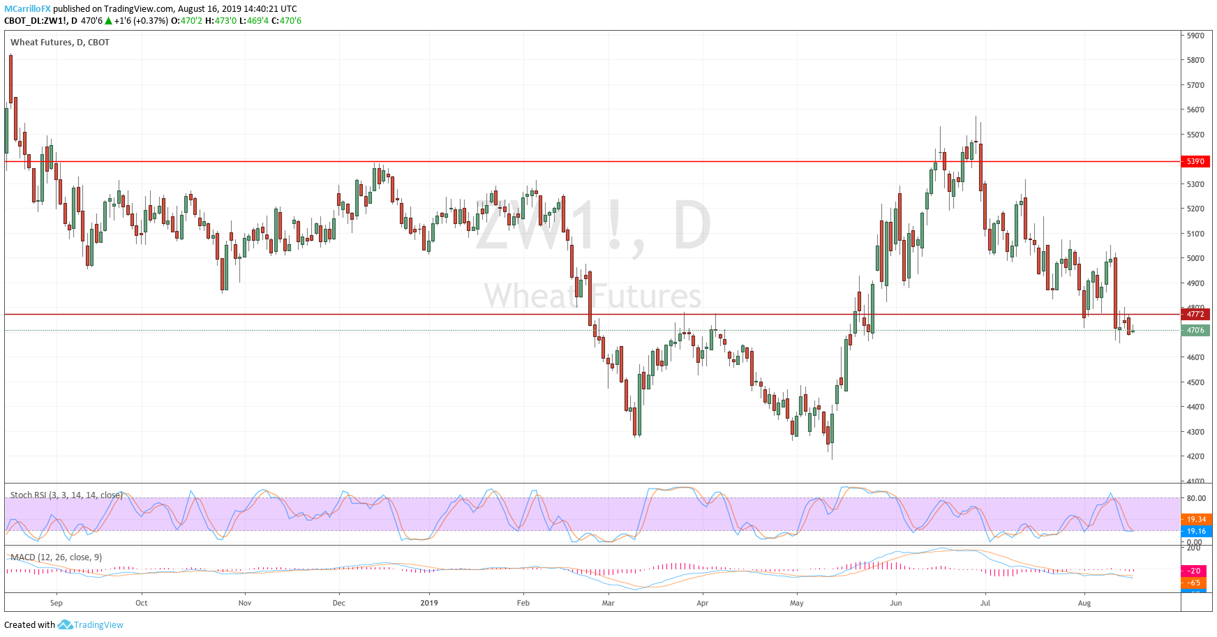 Prices of Wheat daily chart August 16