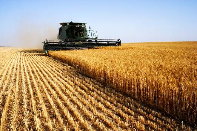 Trade War and Extreme Weather Push Grains Down