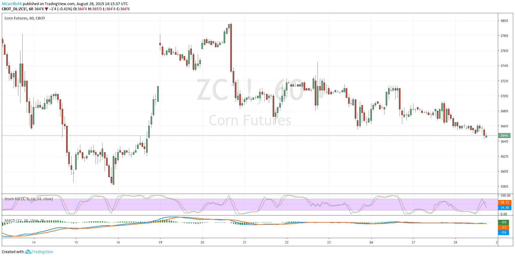 ZC1 Corn Futures 1-hour chart August 28