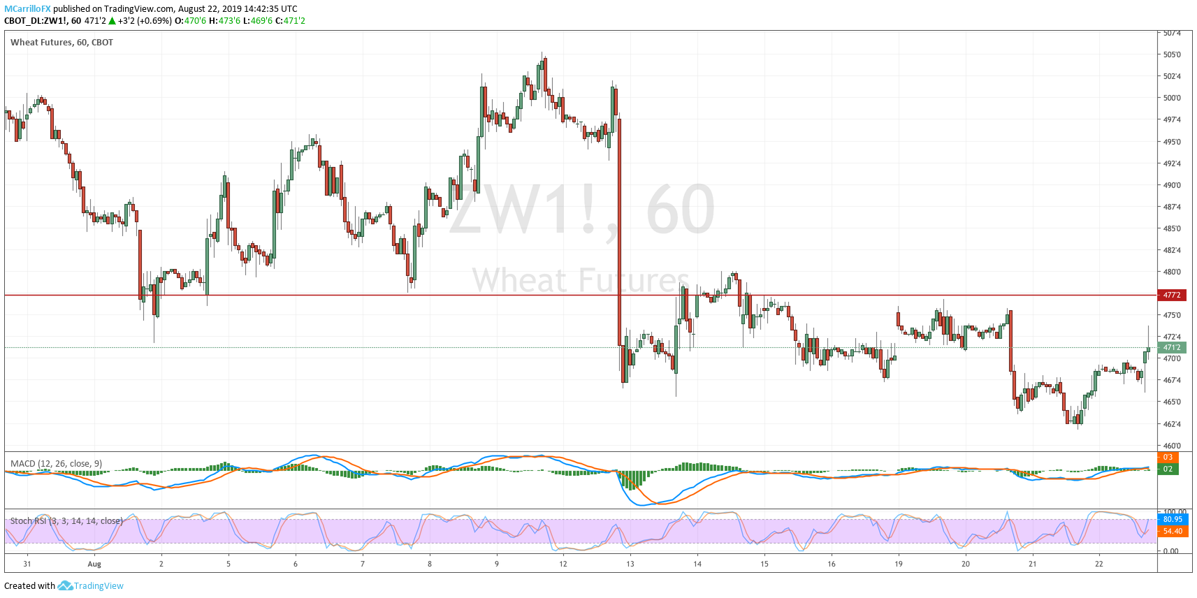 ZW1 Wheat Futures 1-hour chart August 22