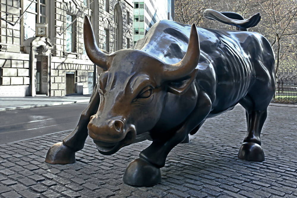 Wall St's Bull