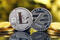 Physical version of Litecoin, new virtual money. Conceptual image for worldwide cryptocurrency and digital payment system called the first decentralized digital currency.