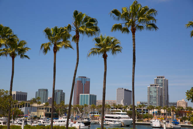 Long Beach California skyline from palm trees of port