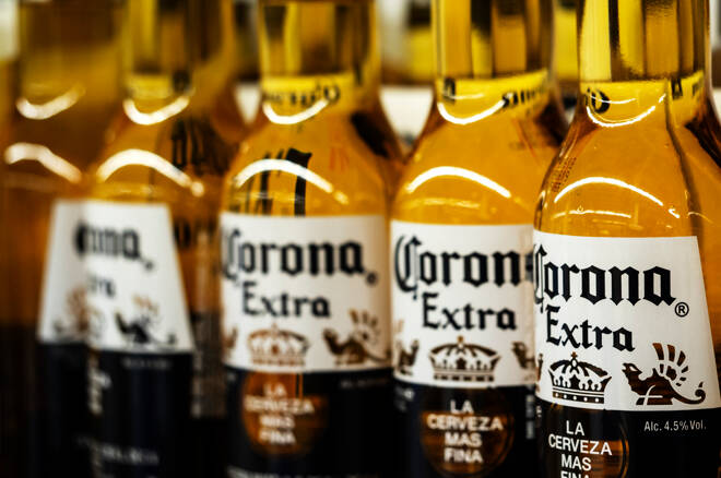 Corona Beer Stock