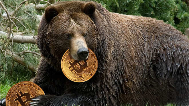Bear bitcoin