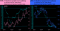 240721_bond_euro_dots