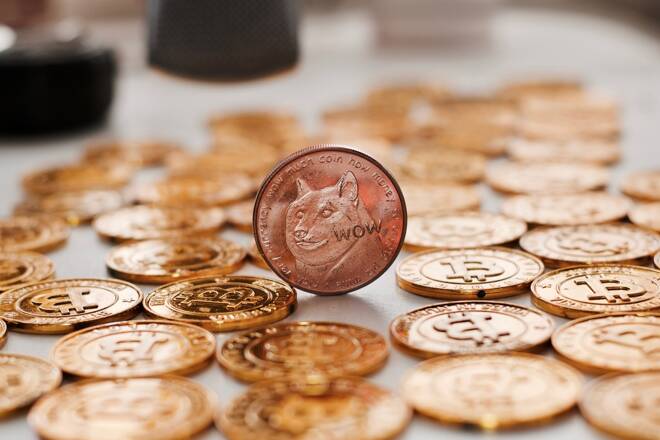 Brass dogecoin coin
