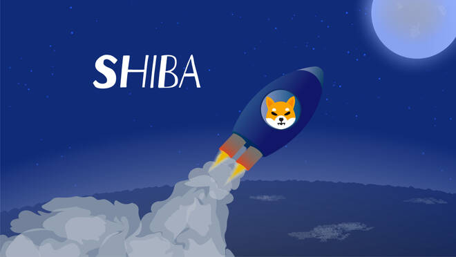 Shiba flies to the moon in spaceship. Rocket with a dog's muzzle
