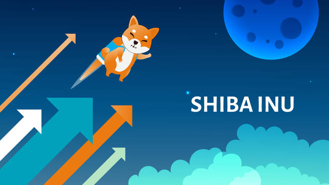 Shiba Inu Soars in Record-Setting Bull Run