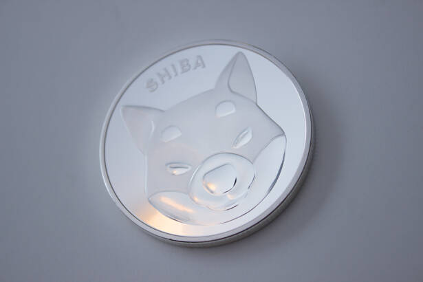 Shiba INU coin