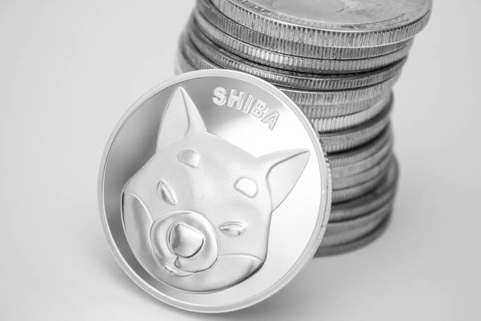 Shiba INU coin