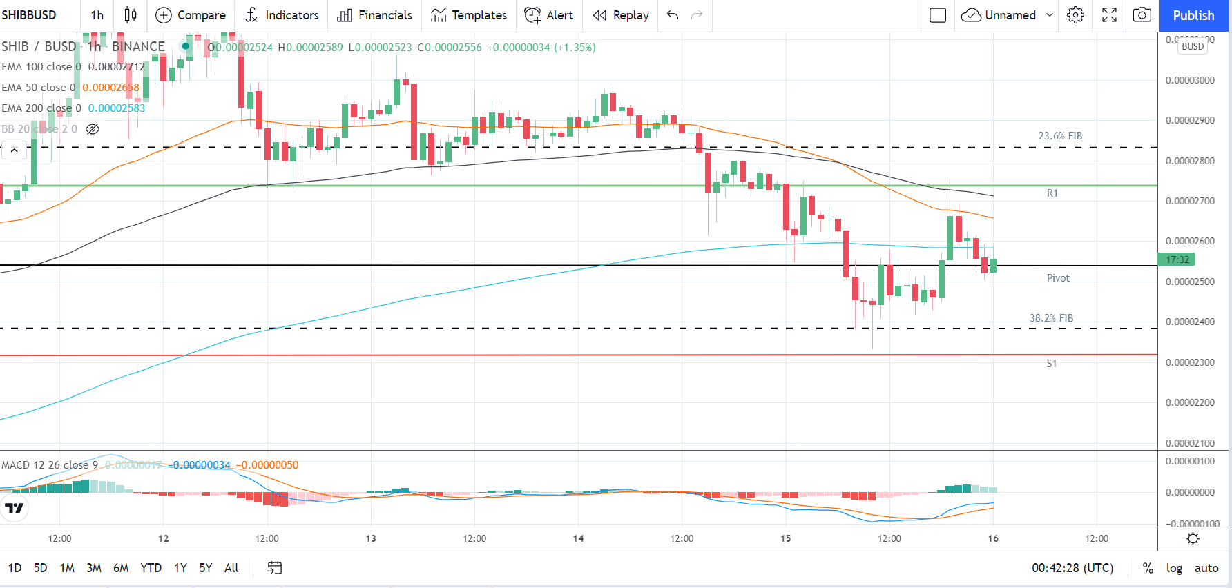 SHIBUSD 161021 Hourly Chart