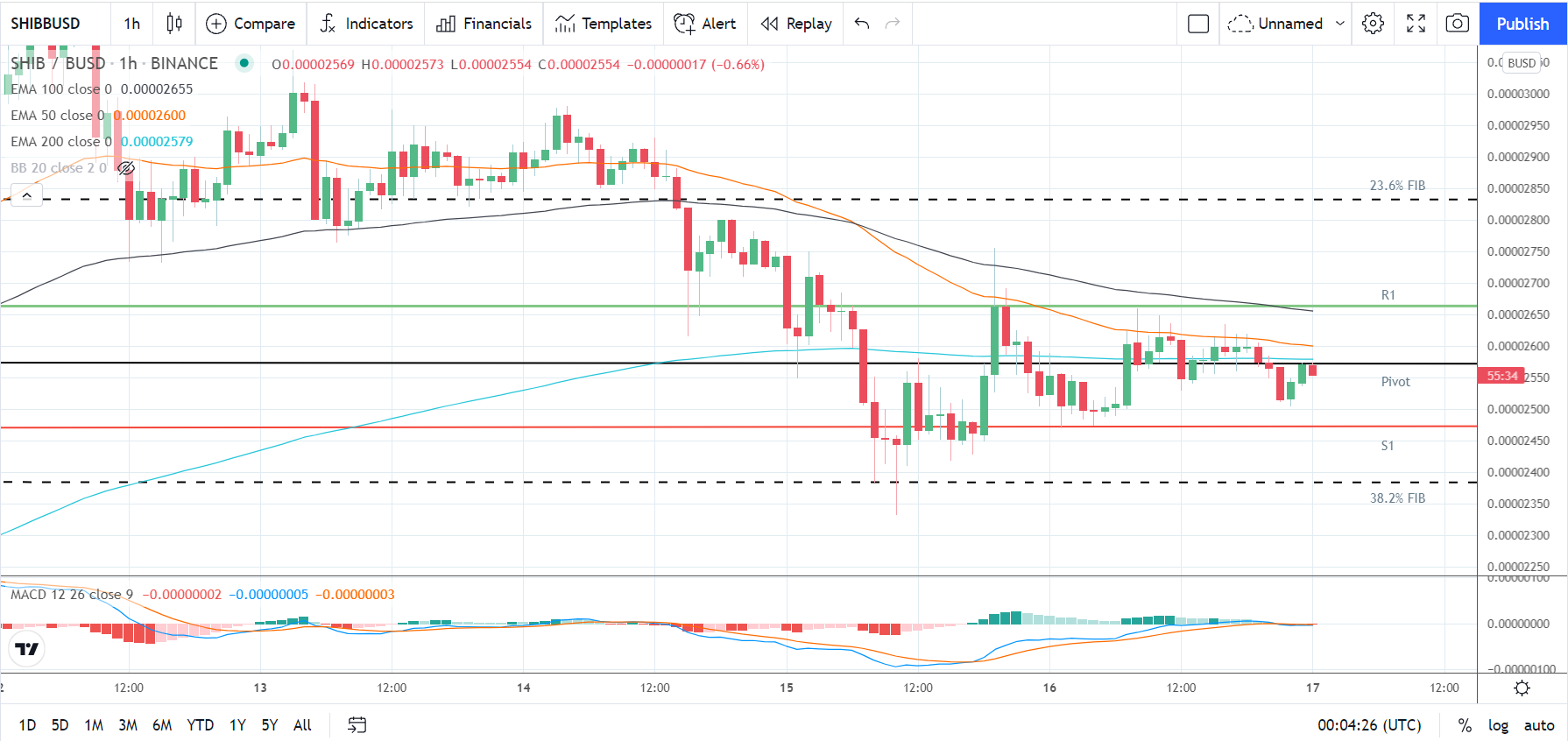 SHIBUSD 171021 Hourly Chart
