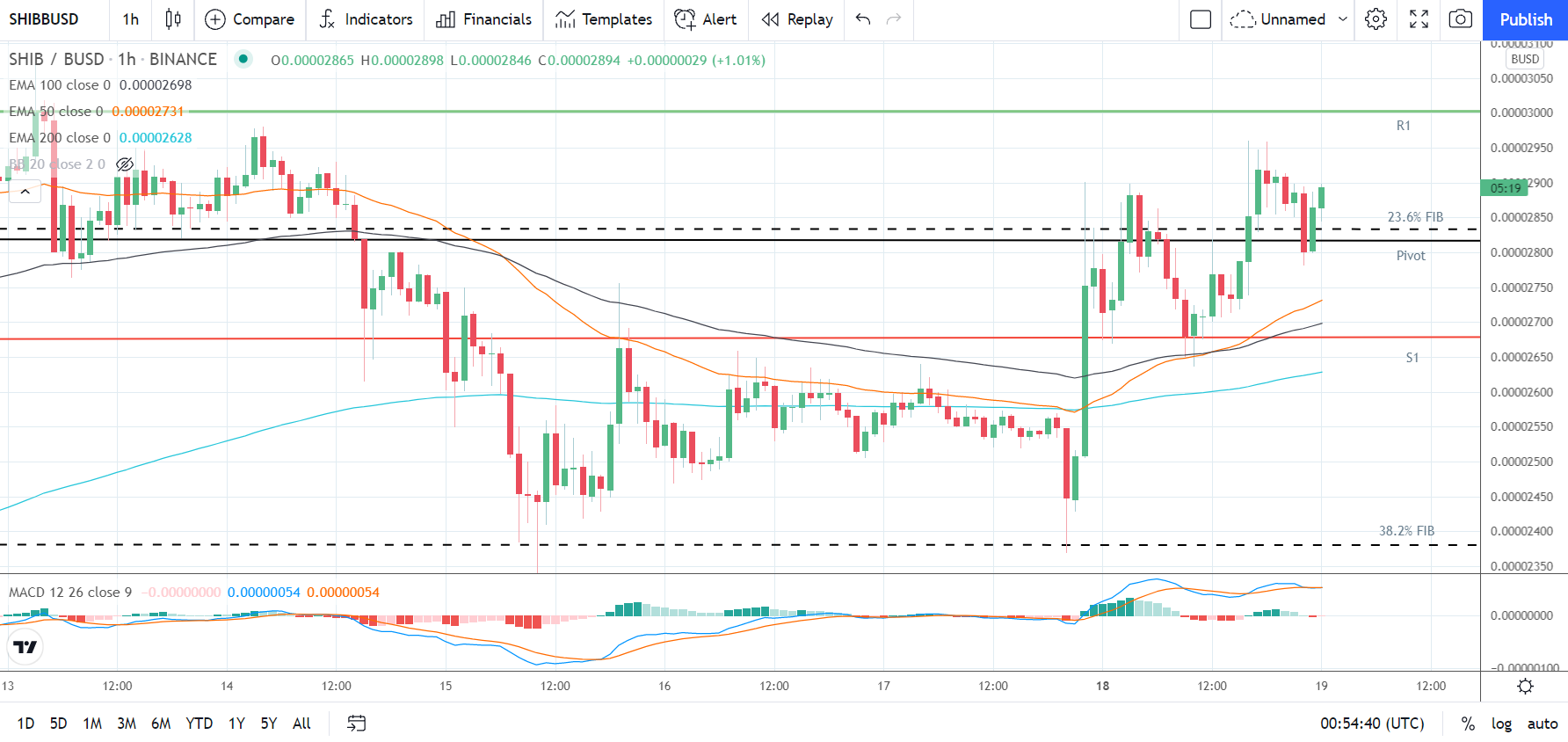 SHIBUSD 191021 Hourly Chart