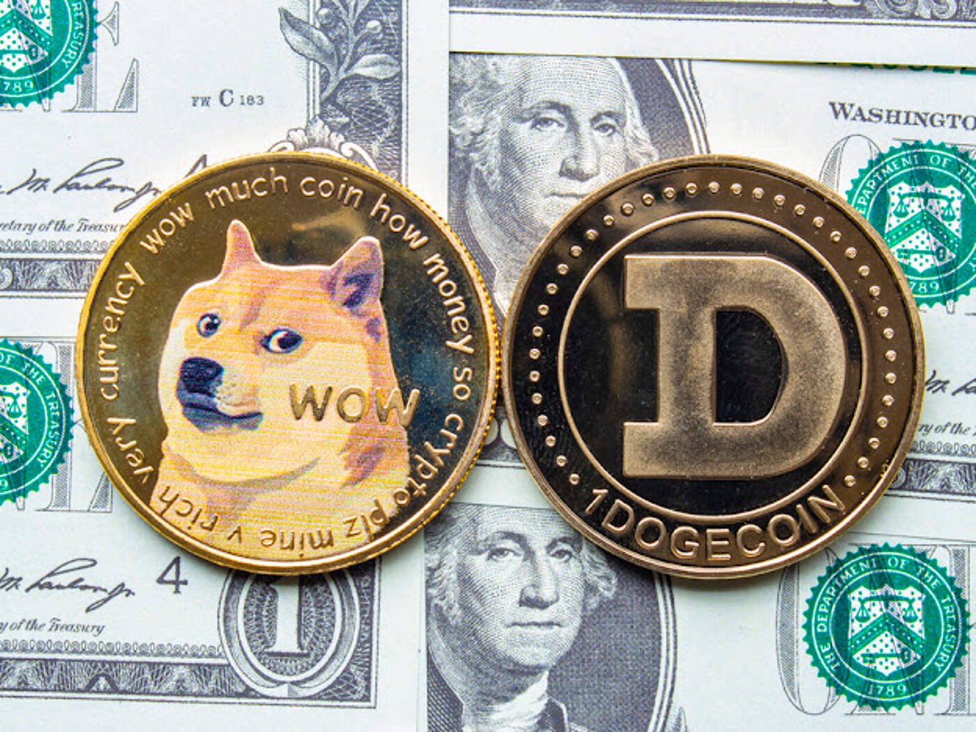 Dogecoin Dev Joins Elon Musk in Faulting the Us Government