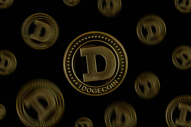 Dogecoin Price Prediction: Time To Buy The Dip As Dogecoin Drops 13% To $0.23?
