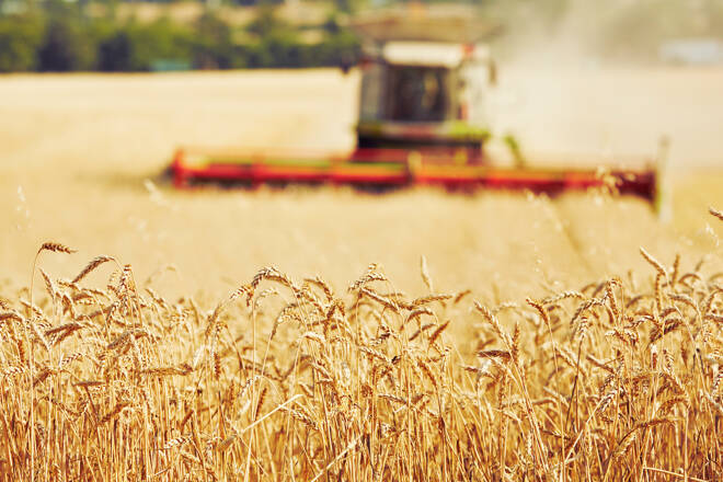Harvest wheat fxempire