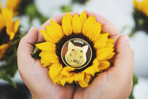 Shiba coin growth inside of a flower