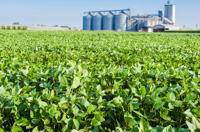 Organic Soybean Prices Rise as Indian Organic Soybean Meal Imports Drop