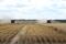 Two combines harvest wheat near Moree, Australia