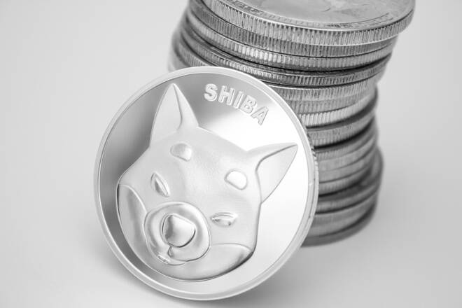 Shiba INU coin FX Empire