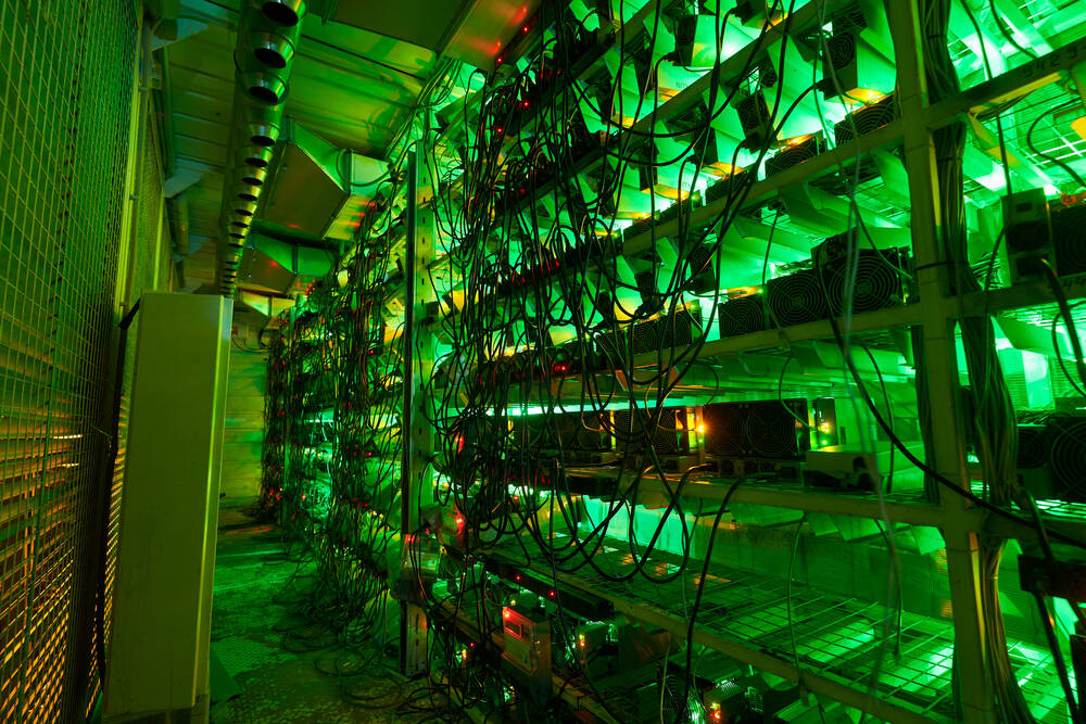 Bitcoin,Miners,In,Large,Farm.,Asic,Mining,Equipment,On,Stand