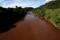General view of mud-filled Paraopeba river, after a tailings dam owned by Brazilian mining company Vale SA collapsed, in Mario Campos near Brumadinho