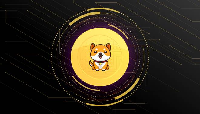 Baby,Doge,Coin,(babydoge),Banner.,Babydoge,Coin,Cryptocurrency,Concept,Banner