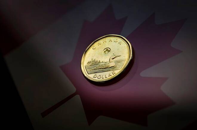 A Canadian dollar coin, commonly known as the "Loonie", is pictured in this illustration picture taken in Toronto