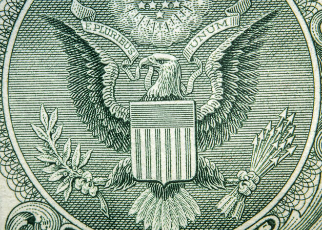 american olive branch